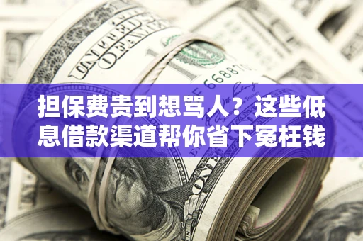 济南担保费贵到想骂人？这些低息借款渠道帮你省下冤枉钱