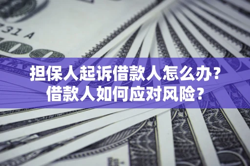 济南担保人起诉借款人怎么办？借款人如何应对风险？